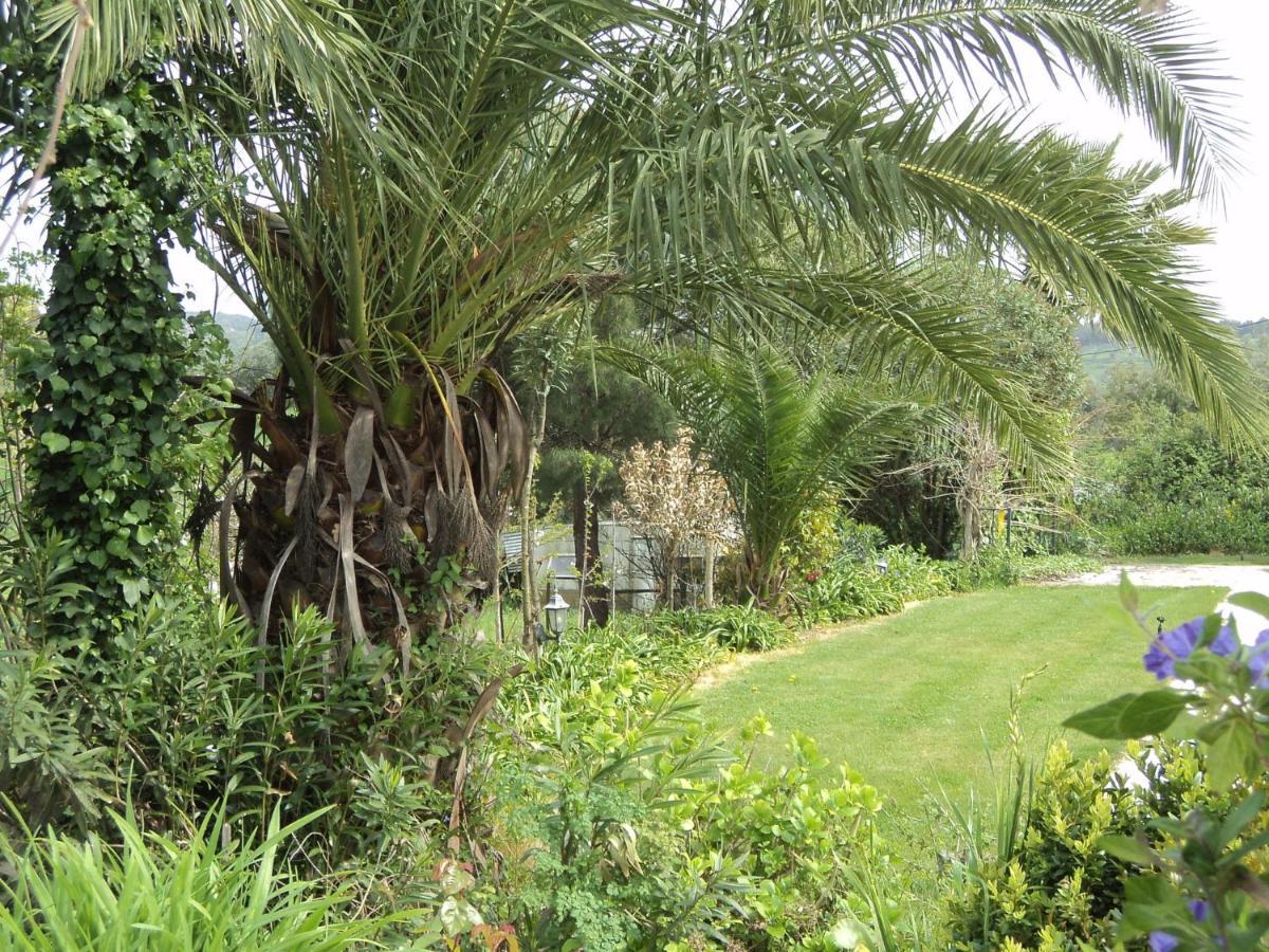 Inviting Holiday Home In Montemor O Novo With Pool 外观 照片