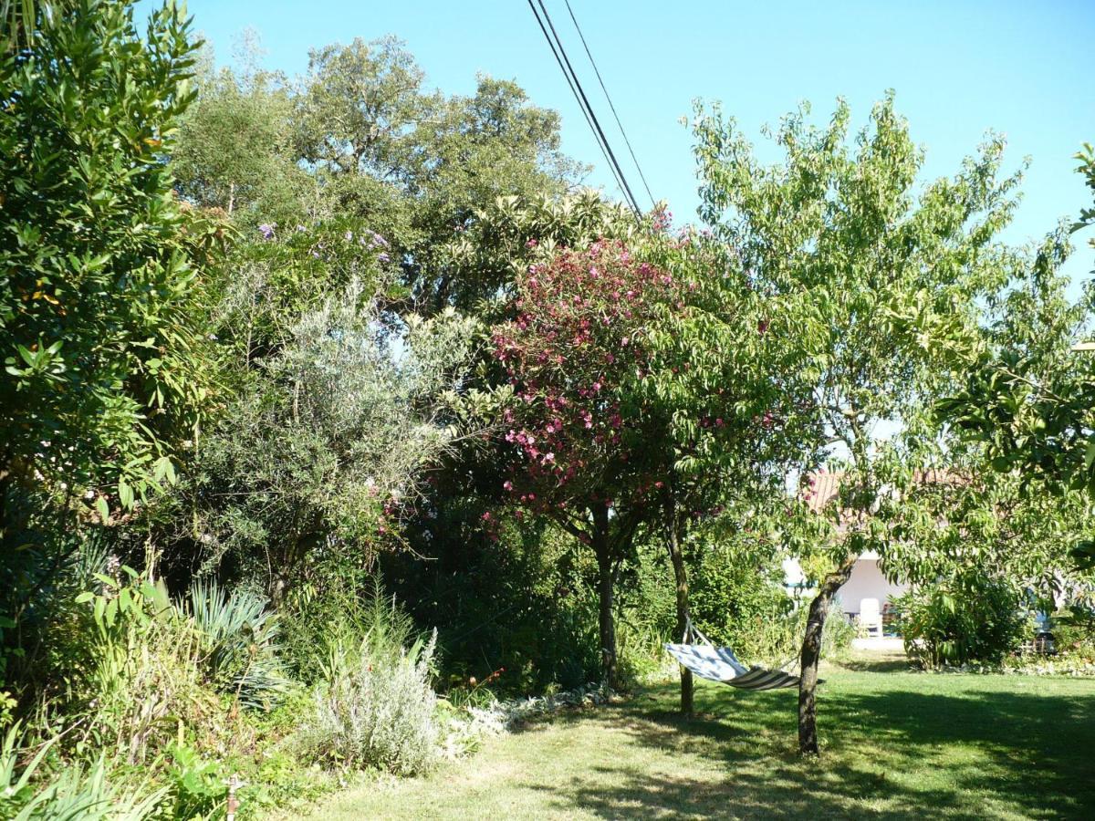Inviting Holiday Home In Montemor O Novo With Pool 外观 照片